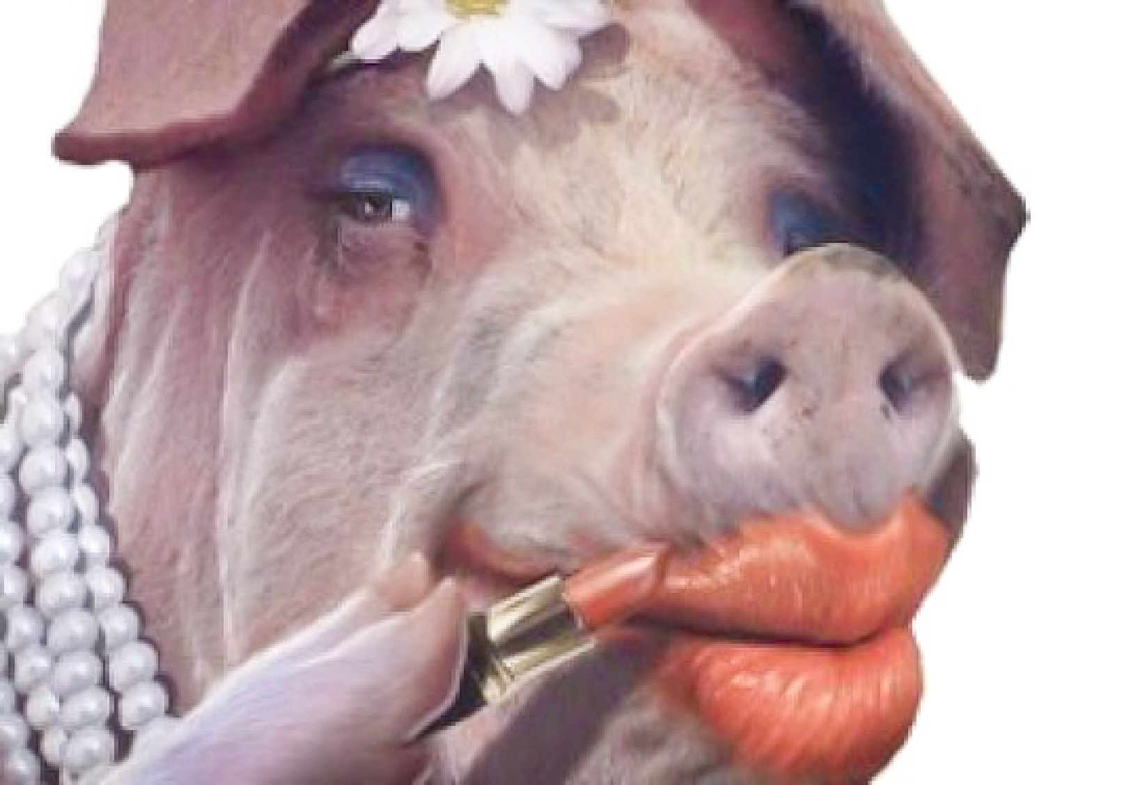 Lipstick-on-a-pig_2